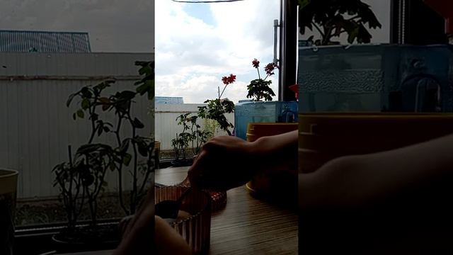 извините я хотел сказать полторы часа😅 смотреть онлайн