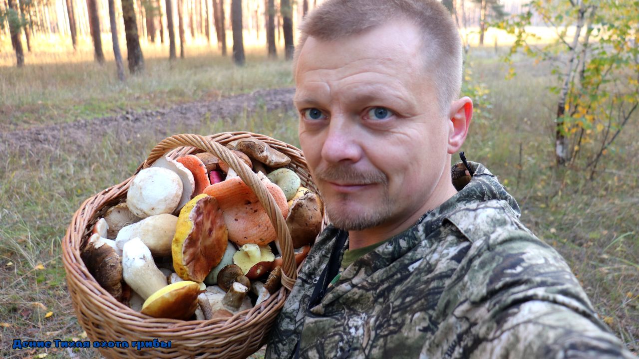 Стандартный набор грибника смотреть онлайн