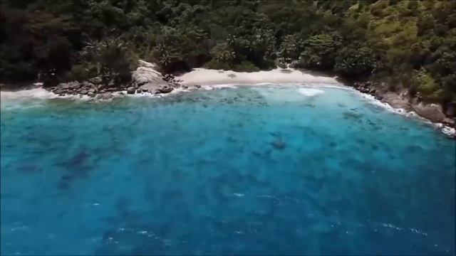 Пусть трансмутирующий процесс пройдёт для вас самым наилучшим способом. Как выйти на путь Души? смотреть онлайн