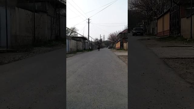 Аделя на велике смотреть онлайн