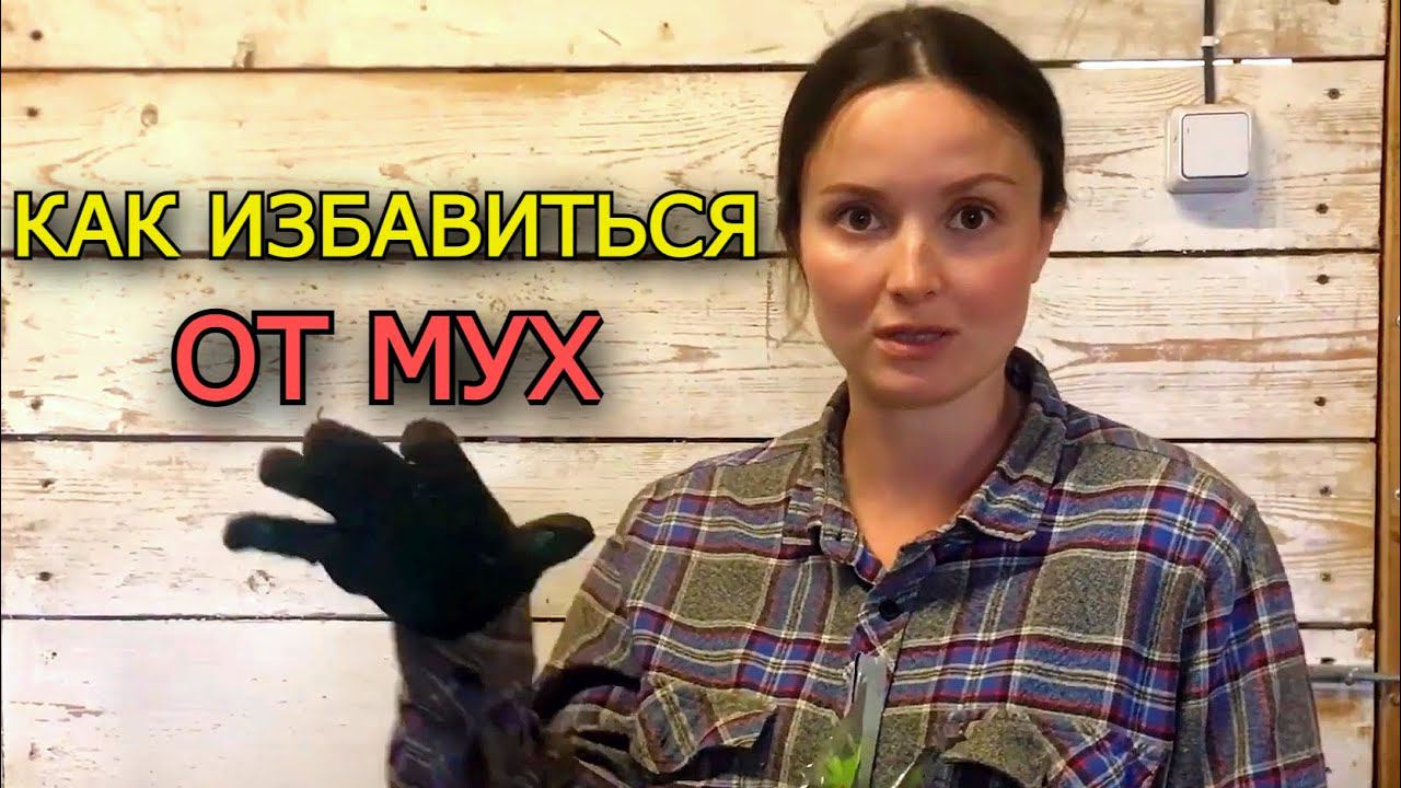 КАК ИЗБАВИТЬСЯ ОТ ВСЕХ МУХ НА ВАШЕМ ХОЗЯЙСТВЕ смотреть онлайн