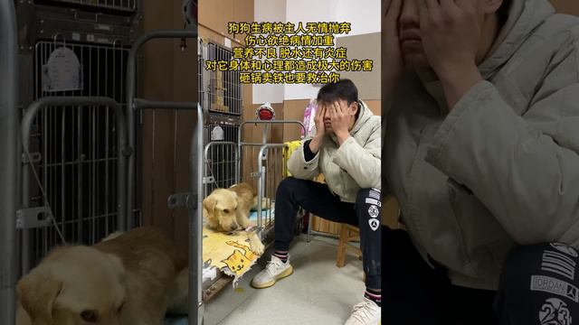 The whole body is dehydrated and has inflammation, and the stray dog is depressed~ смотреть онлайн