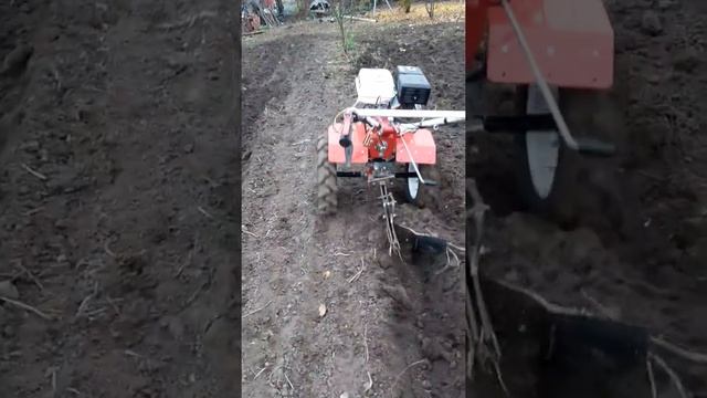 21 ноября 2019 г. смотреть онлайн
