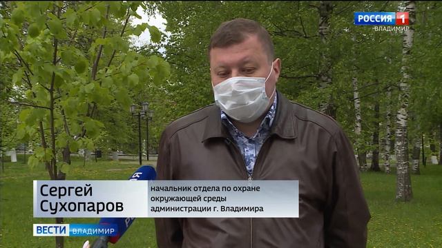 Заболели липы смотреть онлайн