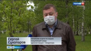 Заболели липы