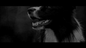 Подборка страшных историй от KotBegemot часть 1