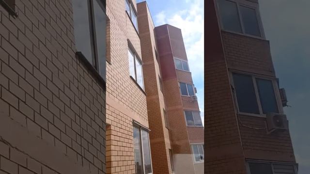 Кот  говорит с рукой?