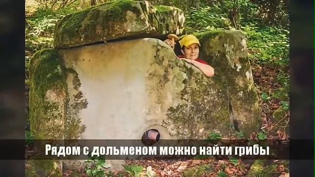 Дольмены урочища Жемси смотреть онлайн