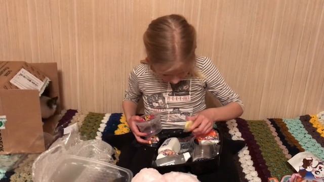 Не знаю, чего ожидать от сестры. Но очень хочу, чтоб там была альпака! смотреть онлайн