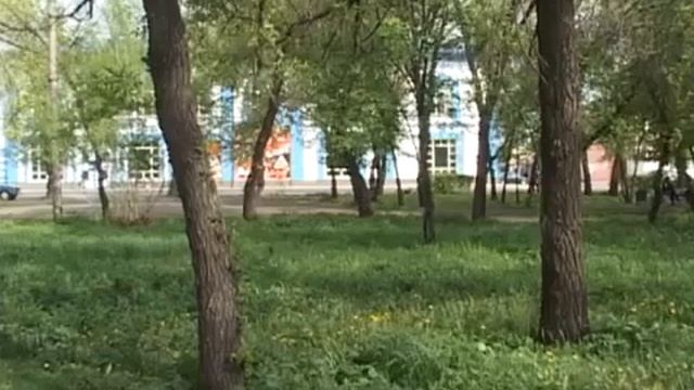 Красноярский край. Уличные собаки атакуют смотреть онлайн