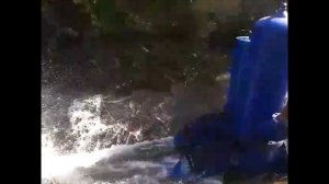 Цена на водяной насос Гидротаран Рогозина  ГТ-500 .