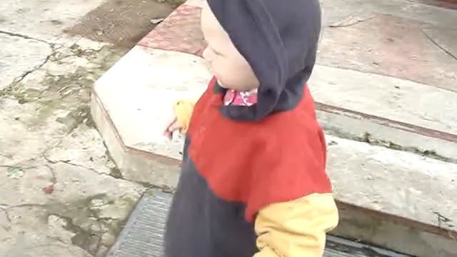 dikie dance смотреть онлайн