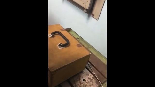 Matrix Морозильная камера смотреть онлайн