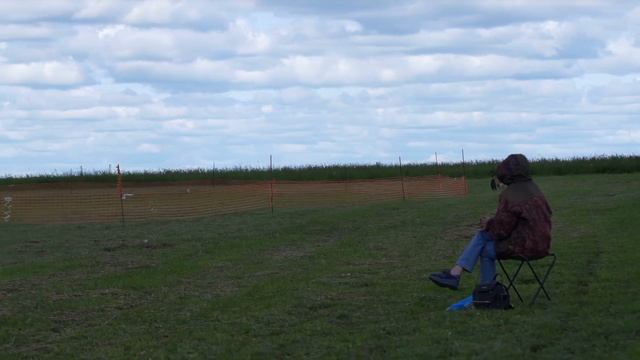 Левретки стандарт 8-й забег смотреть онлайн
