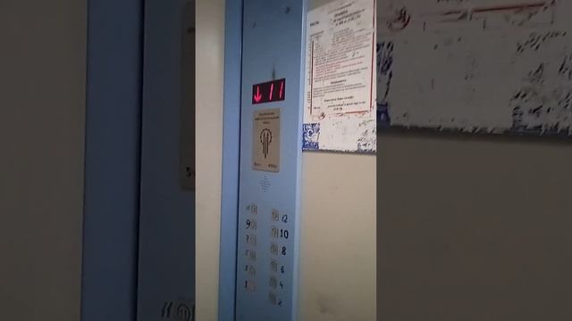 ЩЛЗ 2009 г. 400 кг. 5 чел. г.Кемерово пр.Октябрьский 71 смотреть онлайн
