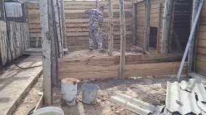 Забой поросенка как оно есть//стройка свинарника своими руками