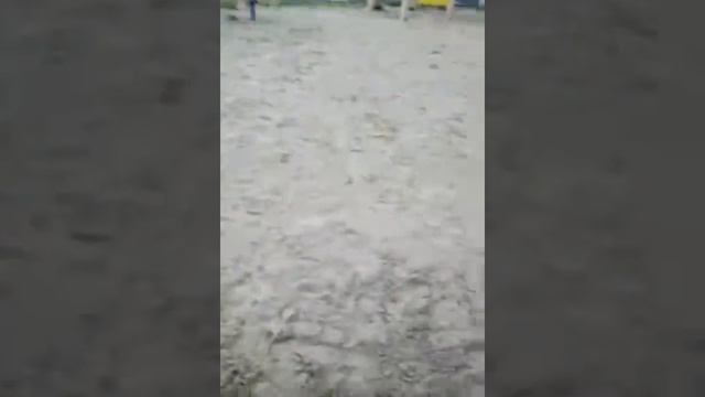 Мы на прогулке Артем веселится Игры для детей Как рассмешить ребенка смотреть онлайн