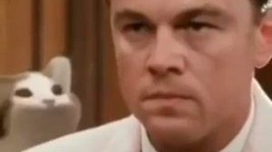 Кот чпокает ртом и надоедает Дикаприо 10 часов