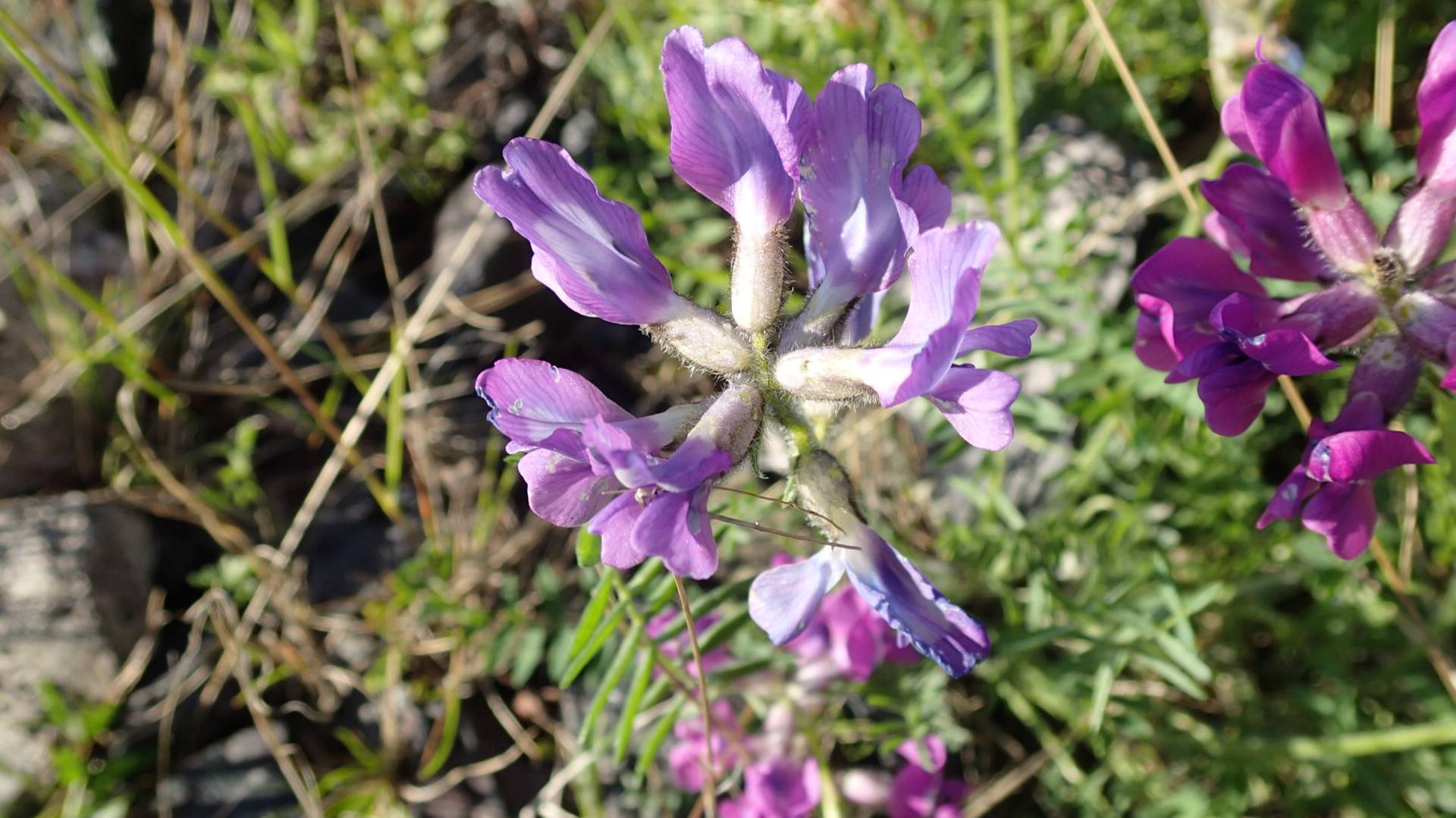 2024.07.07. Время загорать в Норильске!!! смотреть онлайн