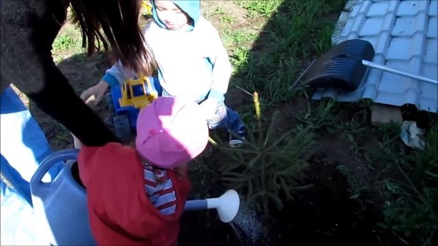 С Днем Рождения,папа!!! смотреть онлайн