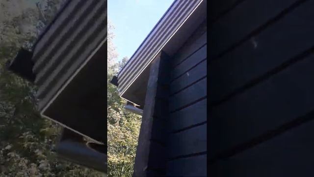 Подсветка бани тоже готова. смотреть онлайн