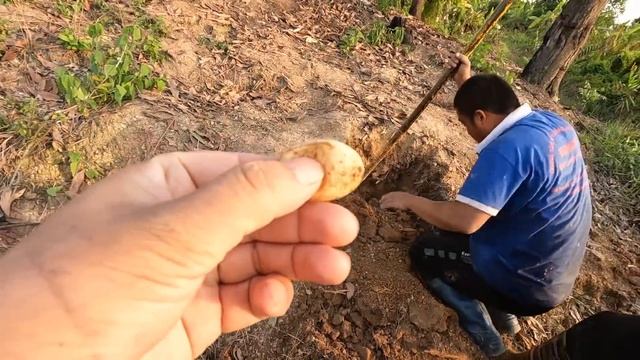 2 Giant Snakes Roared Terror смотреть онлайн