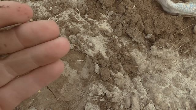 Сохран находок, удивил! Коп в Орехово-Зуевском районе. смотреть онлайн