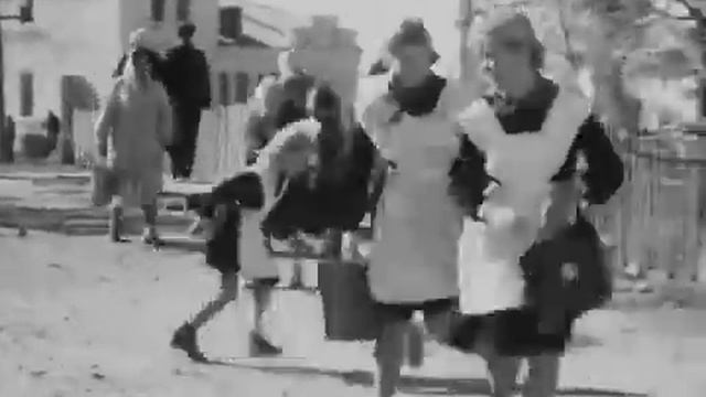 Дикая собака Динго 1962