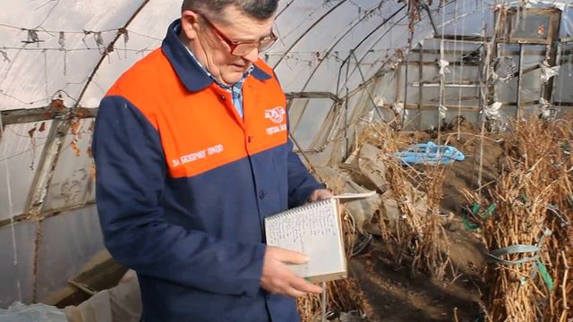 саженцы винограда весна2019год смотреть онлайн
