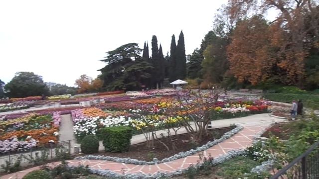 "Парад" хризантем. Последние дни. смотреть онлайн