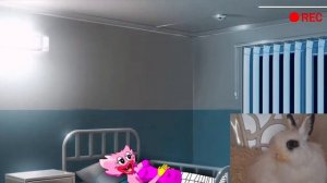 УКОЛ ХАГИ ВАГИ И КИСИ МИСИ? Стыдные POPPY PLAYTIME Анимации! Реакция #хаггивагги #хагиваги