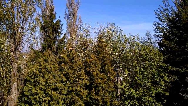 Приметы смотреть онлайн