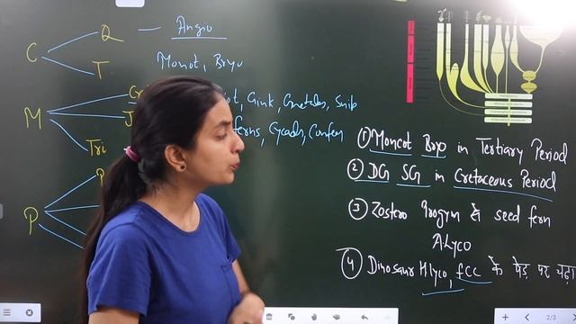 Easy TRICKS to Learn EVOLUTION of Plants | Fig. 7.9 | NEET Biology смотреть онлайн
