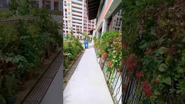 Вход в квартиру в Сингапуре. Удивительный антураж простого жилища. Китч или дорохо-бохато? смотреть онлайн