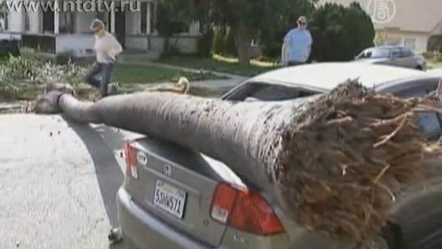 В США разбирают завалы после урагана смотреть онлайн