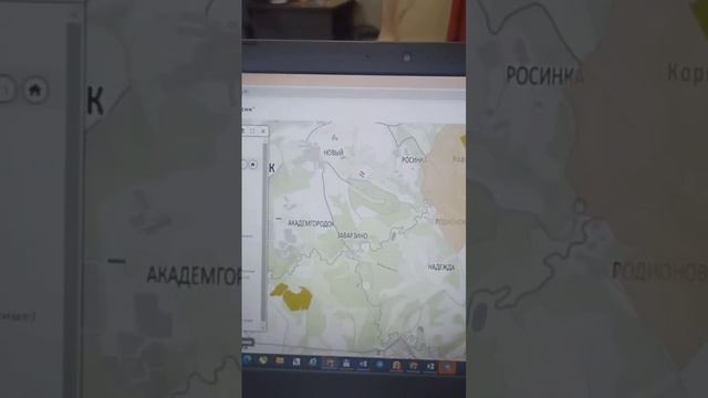 Как посмотреть границы лесного фонда перед покупкой участка. смотреть онлайн