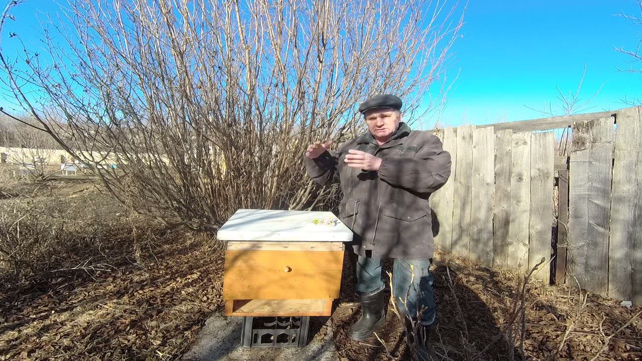 Ловля роёв. смотреть онлайн