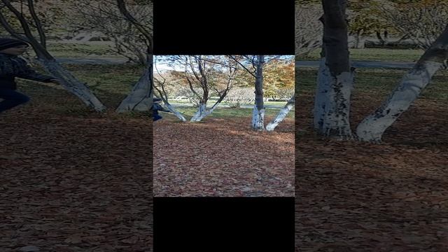 Городская среда Парк