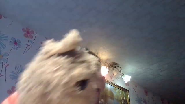 Лайфхаки с носком зачем выбрасывать носки смотреть онлайн