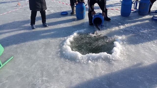 Рыбалка близ Алматы. Озеро У Баги. Ловим форель. смотреть онлайн