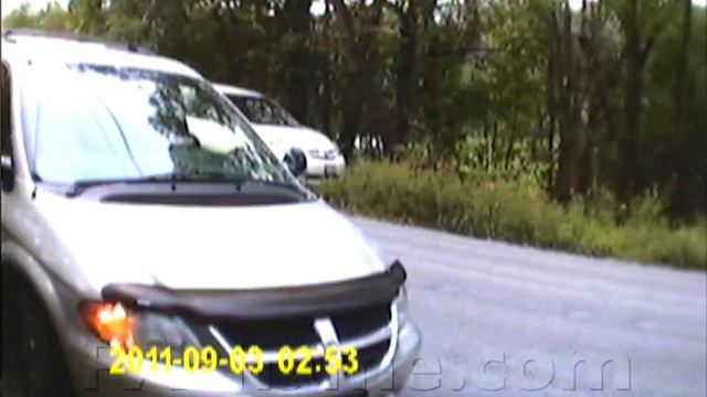 District Attorney Allows Horrible Animal Abuse смотреть онлайн