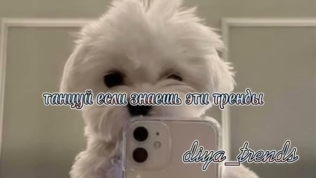 САМЫЕ ЛУЧШИЕ ТРЕНДЫ / ТАНЦУЙ ЕСЛИ ЗНАЕШЬ ЭТОТ ТРЕНД 2022 смотреть онлайн