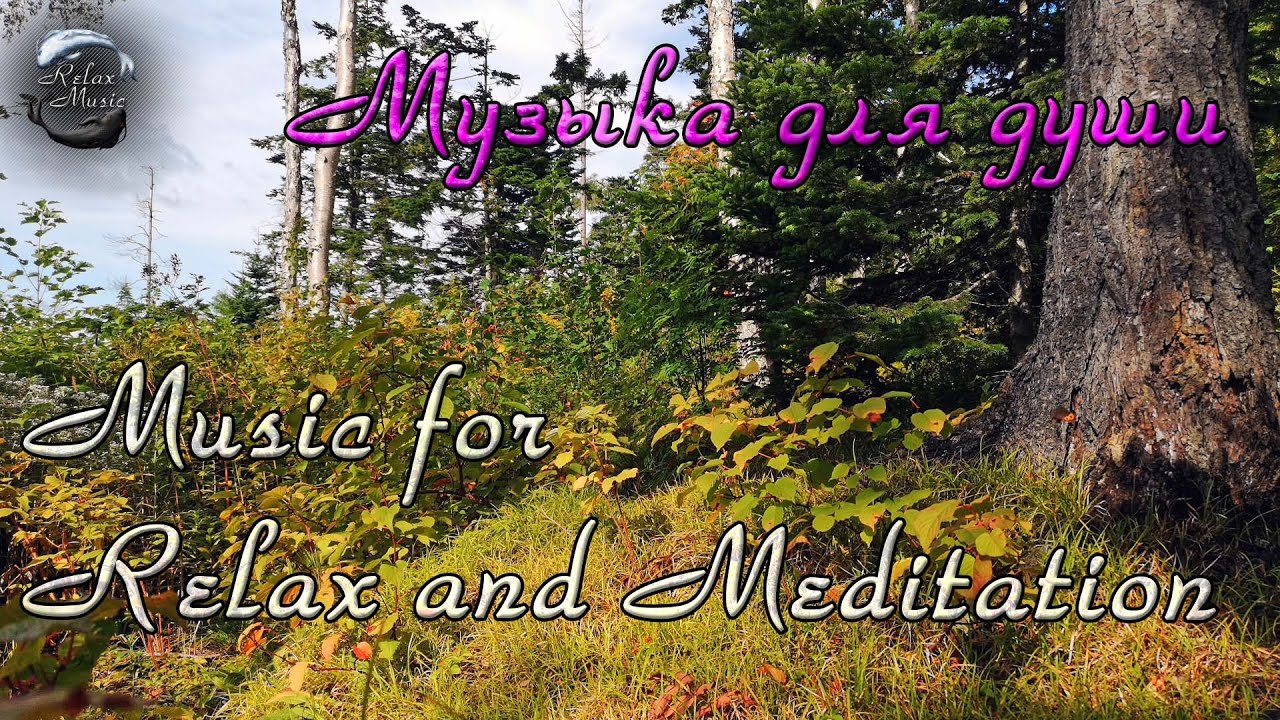 Тибетские чаши для короткой медитации, отдыха, погружения в транс / Музыка для медитации смотреть онлайн