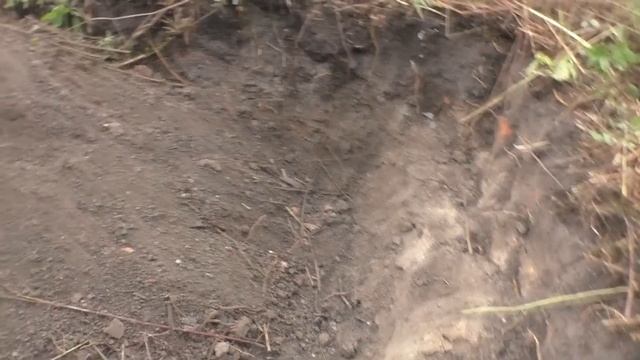 #ШУРФ ПО СТАРИНЕ / В ПОГОНЕ ЗА УДАЧЕЙ !!!