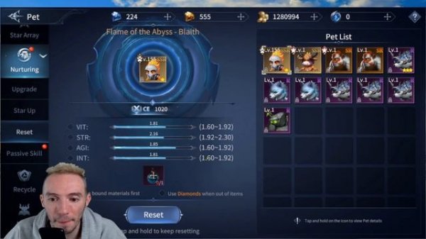 BEST Pet Guide & NEW Codes! Immortal Awakening