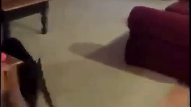 Собирайся, едем на дачу смотреть онлайн