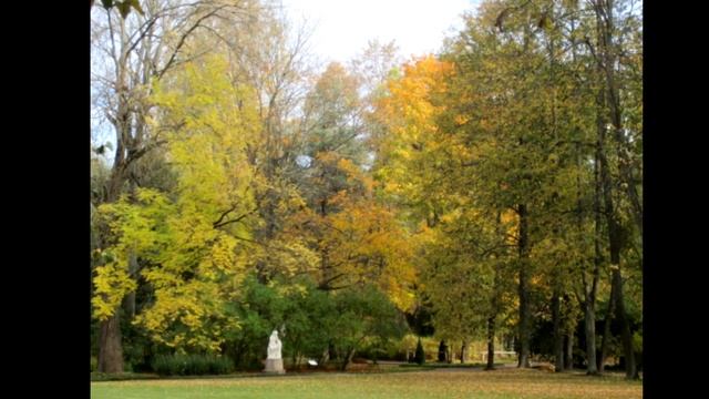 ПАВЛОВСКИЙ ПАРК. ОСЕННИЕ МОТИВЫ / PAVLOVSK PARK. AUTUMN MOTIFS смотреть онлайн
