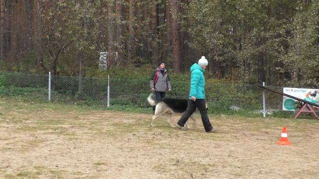 ЛР ГВИДОН ПРК 