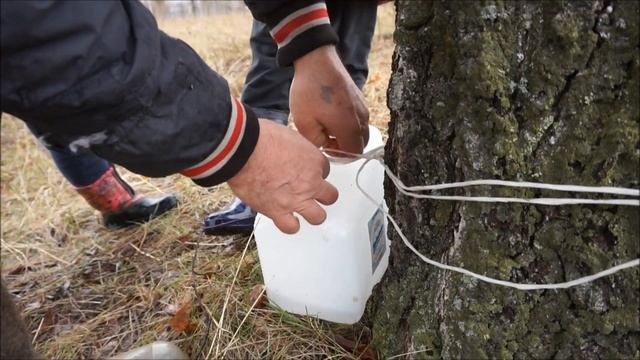 Фотоэпиляция: комфортное решение для ухода за кожей