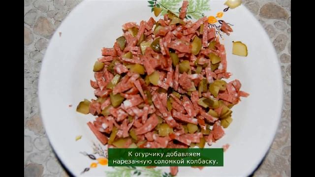 Зоопарк и Дикие Животные